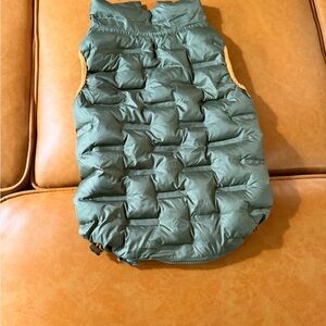 Quilted Puffer Dog Jacket in Olive Green with Orange Trim